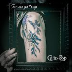 Călin Pop, Toni Dijmărescu, Flavius Suciu și Vlad Spătar lansează un nou single: „Semne pe trup”